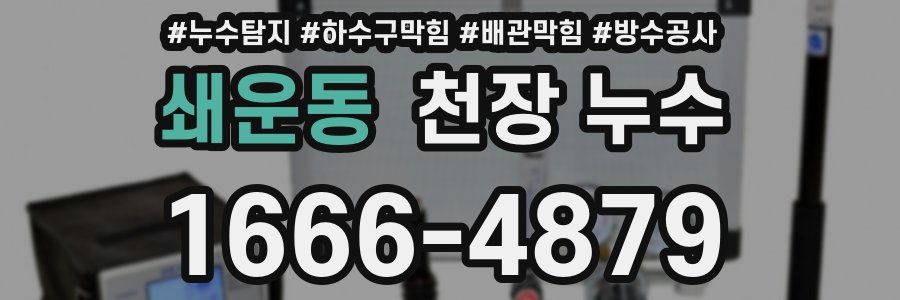 쇄운동 천장 누수