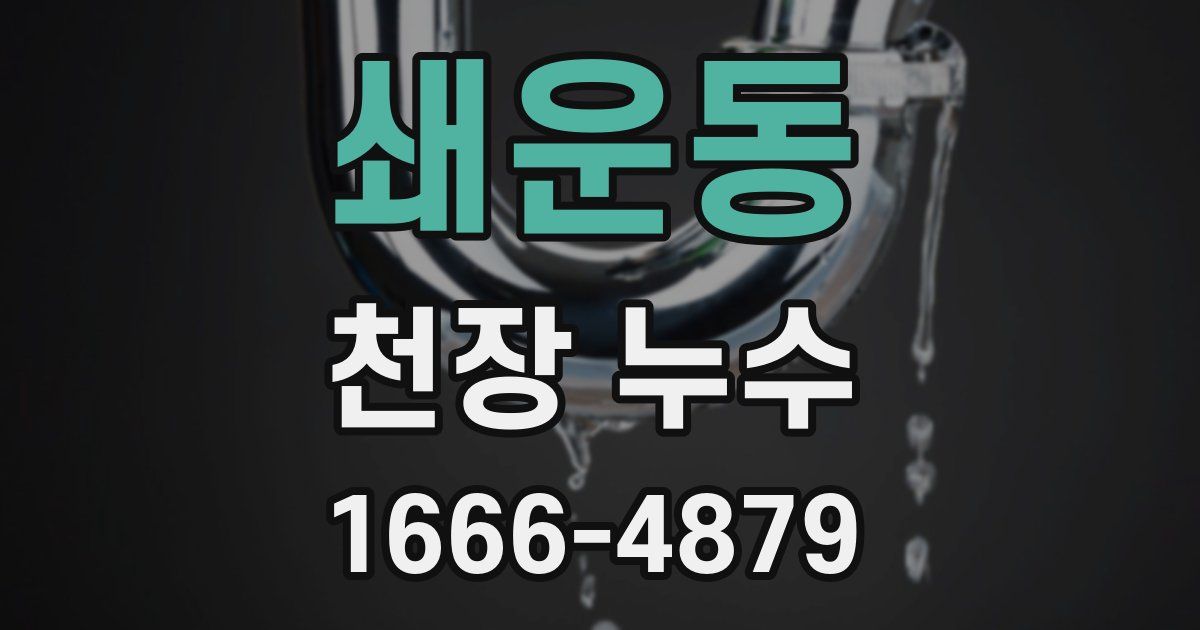 쇄운동 천장 누수