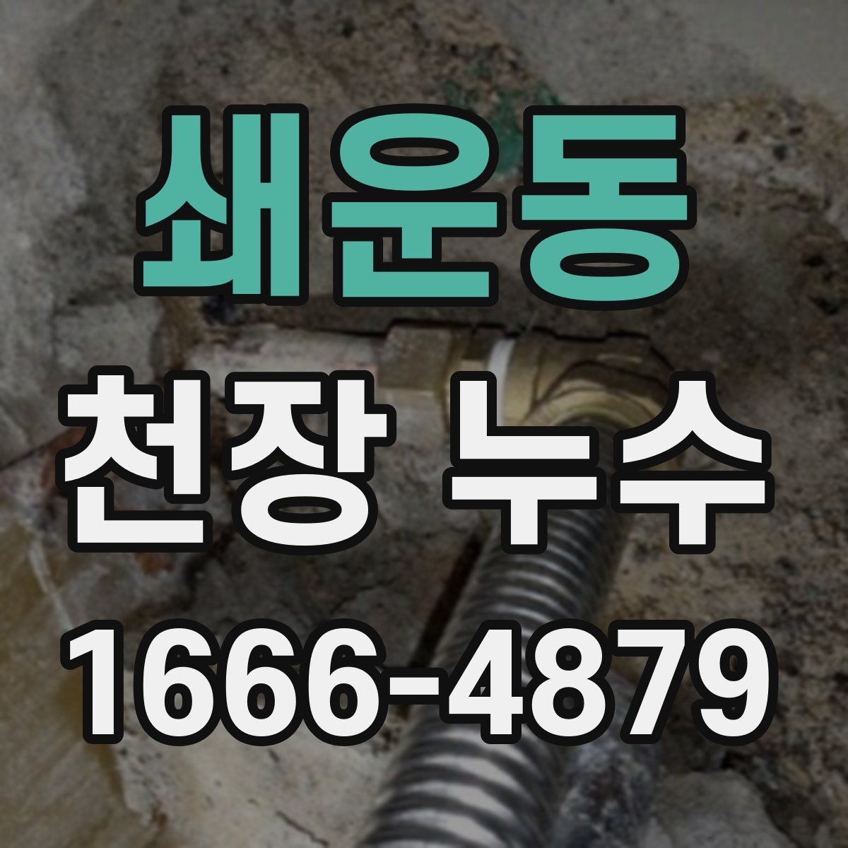 쇄운동 천장 누수