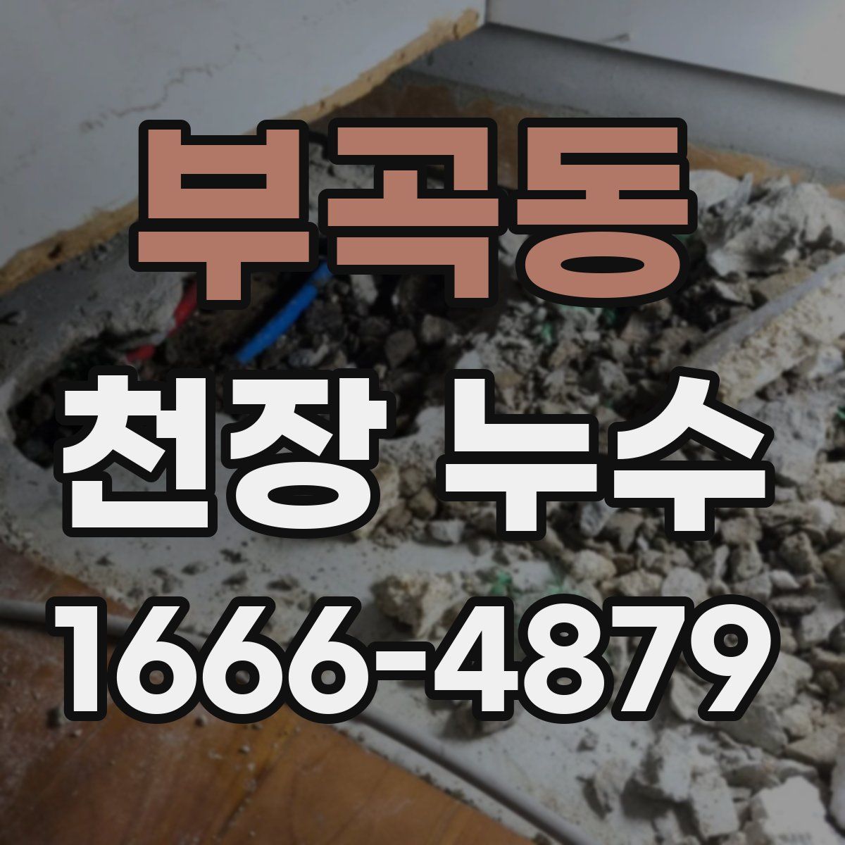 부곡동 천장 누수