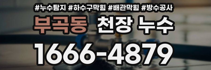 부곡동 천장 누수