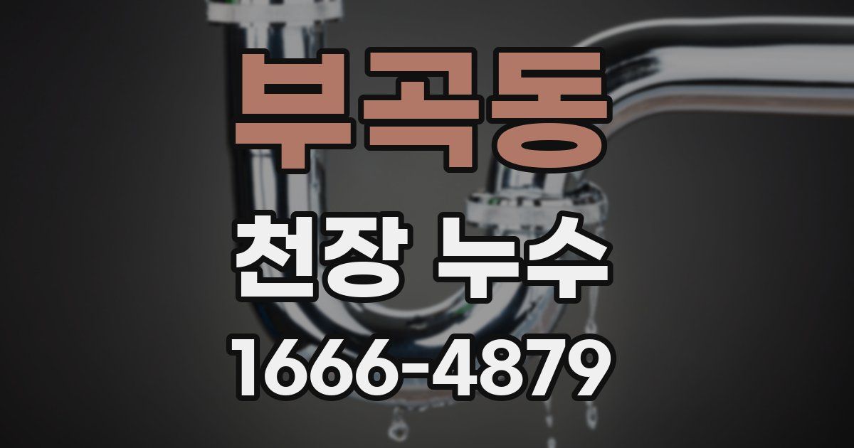 부곡동 천장 누수