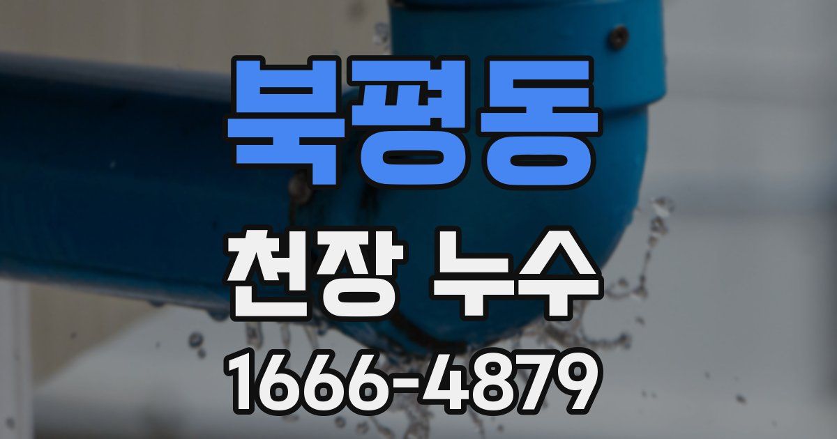 북평동 천장 누수