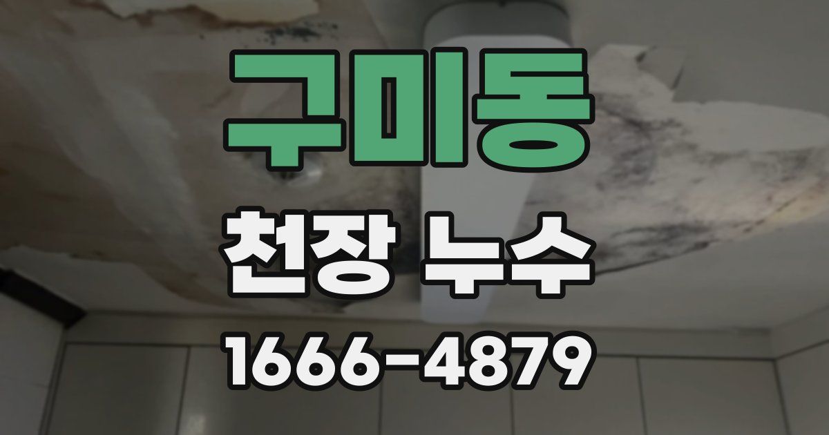 구미동 천장 누수