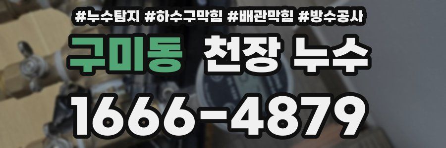 구미동 천장 누수