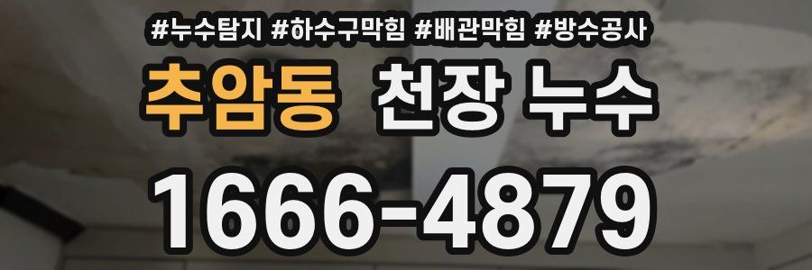 추암동 천장 누수