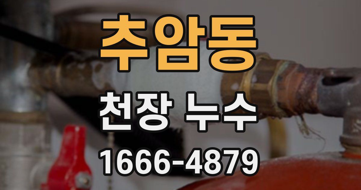 추암동 천장 누수