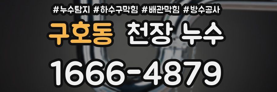 구호동 천장 누수
