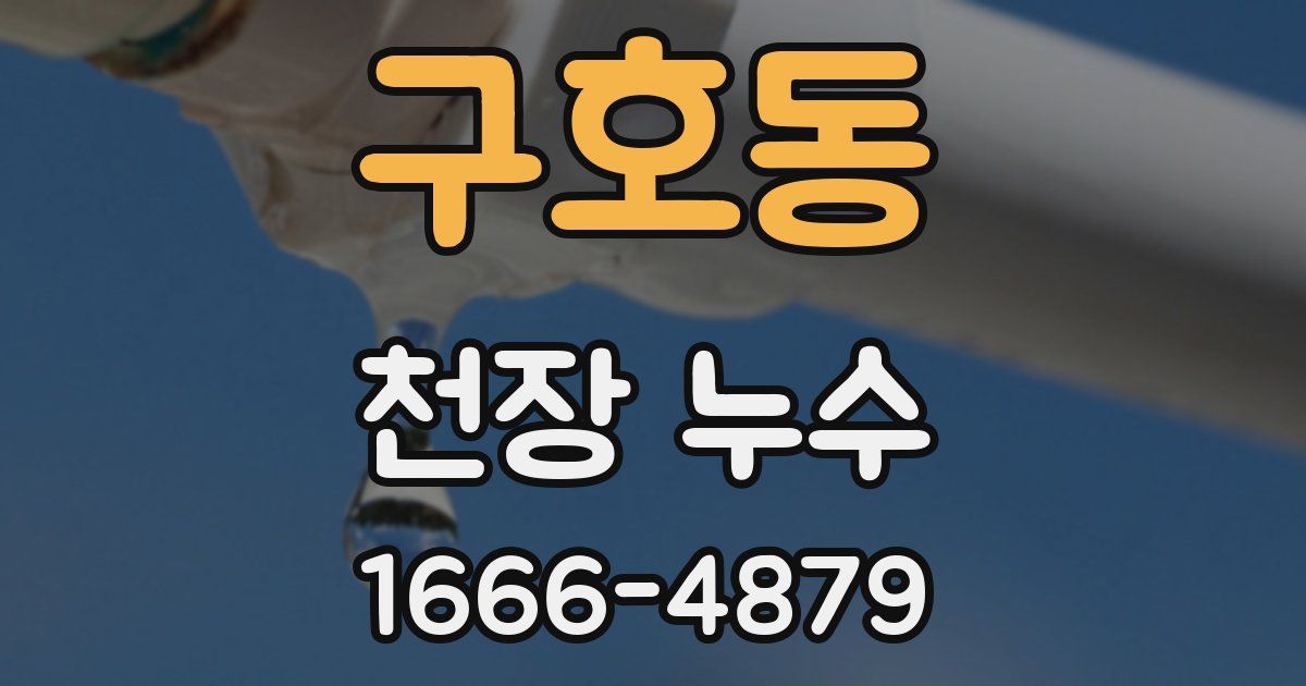 구호동 천장 누수