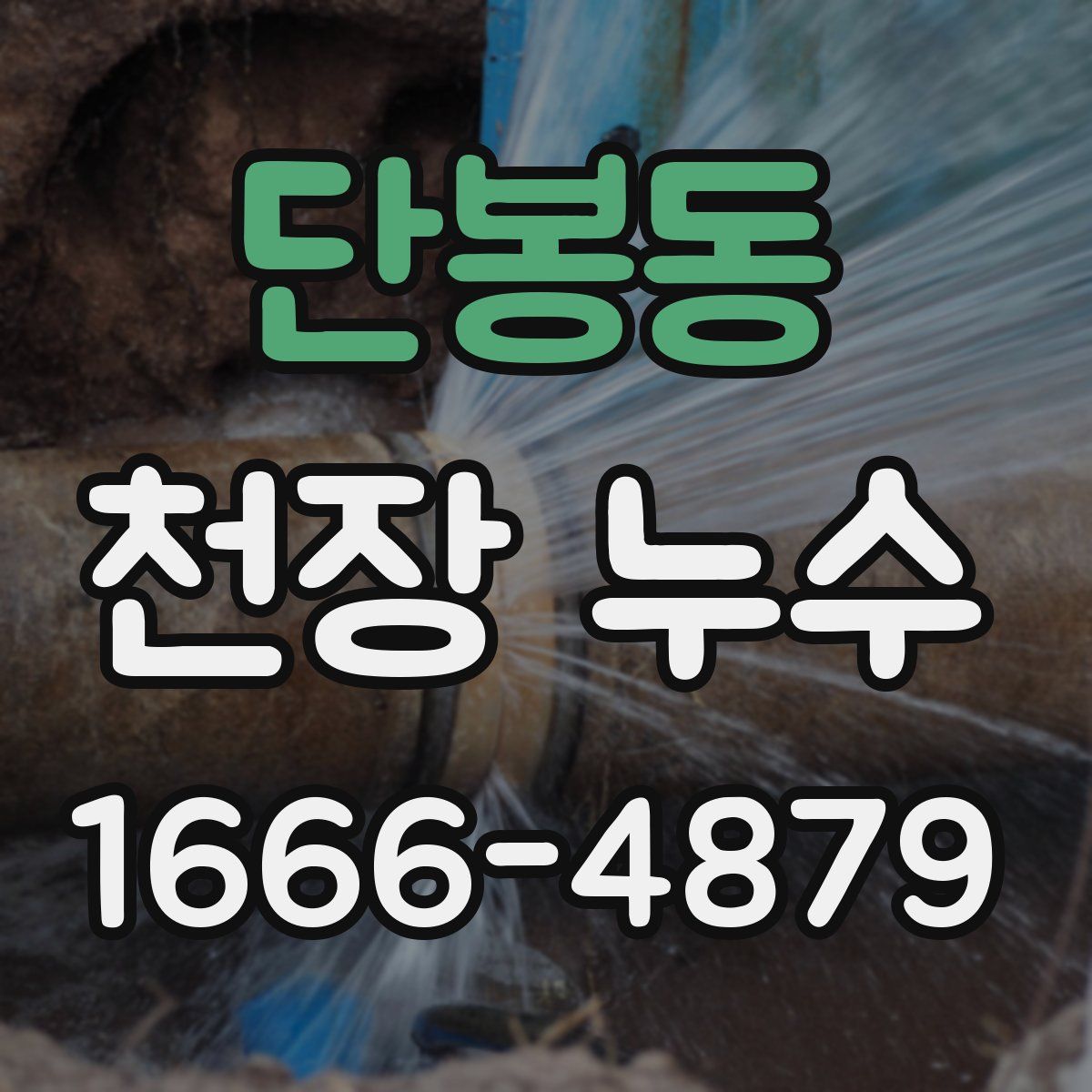 단봉동 천장 누수