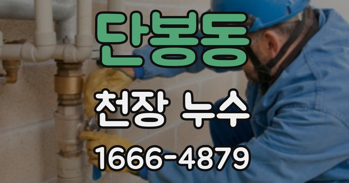 단봉동 천장 누수
