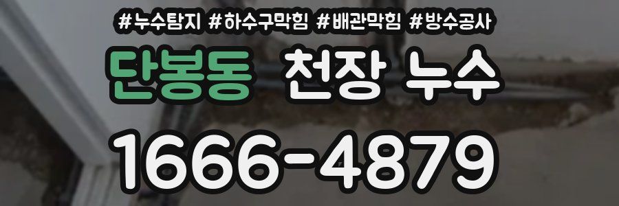 단봉동 천장 누수