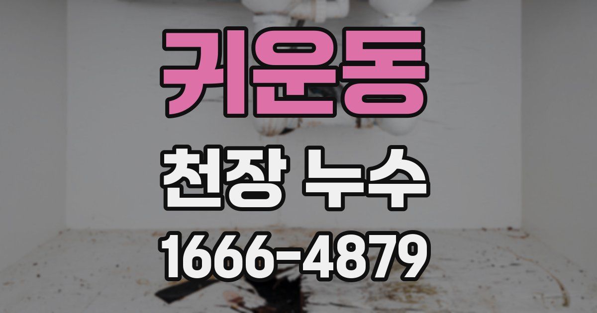 귀운동 천장 누수