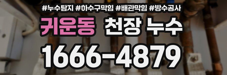 귀운동 천장 누수