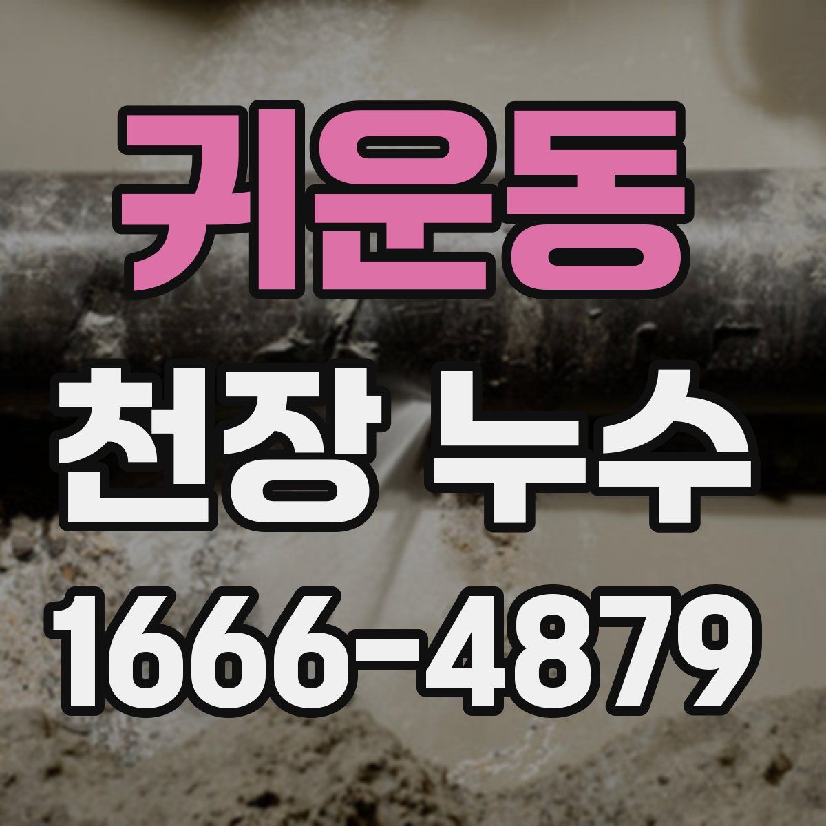 귀운동 천장 누수