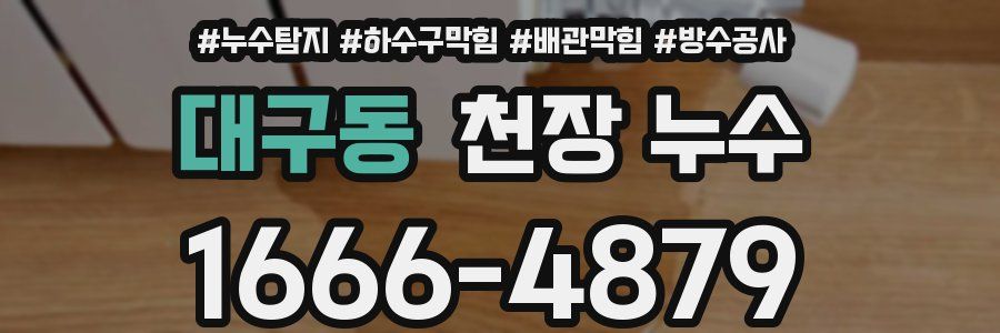 대구동 천장 누수