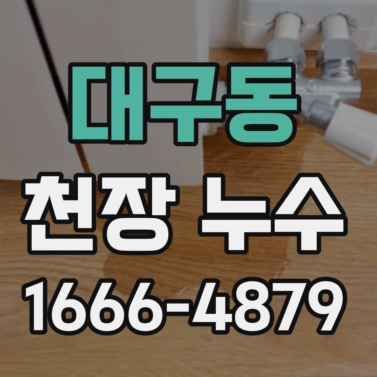 대구동 천장 누수