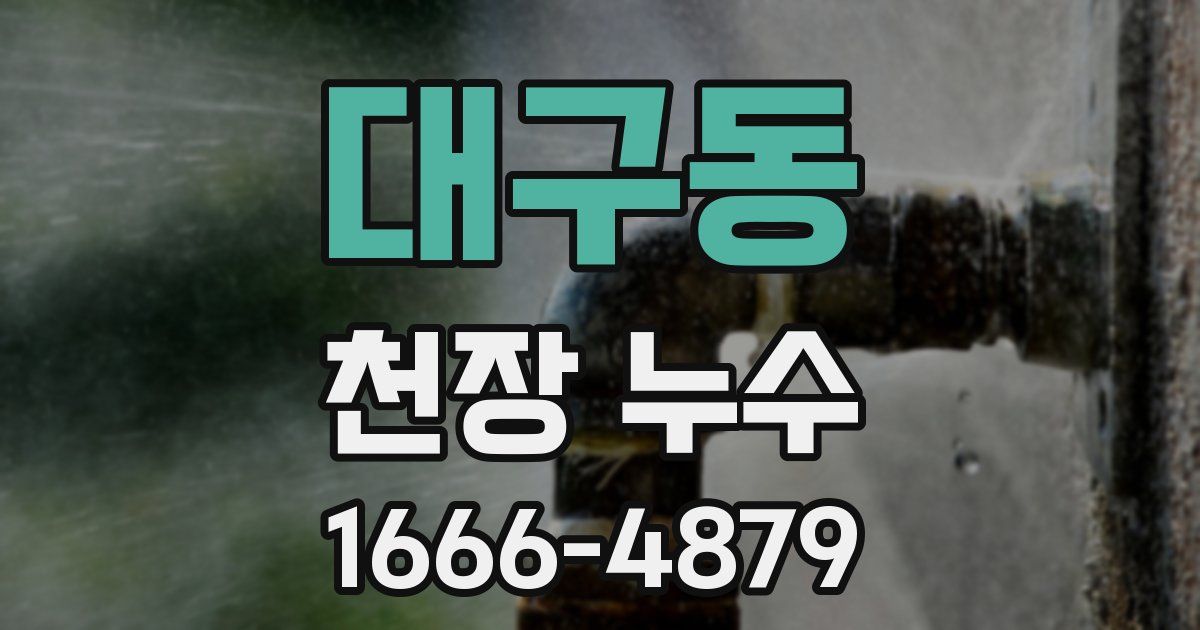 대구동 천장 누수