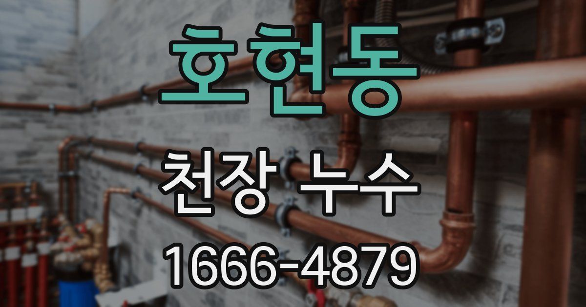 호현동 천장 누수