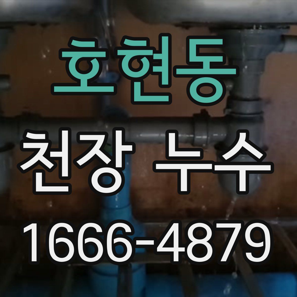 호현동 천장 누수