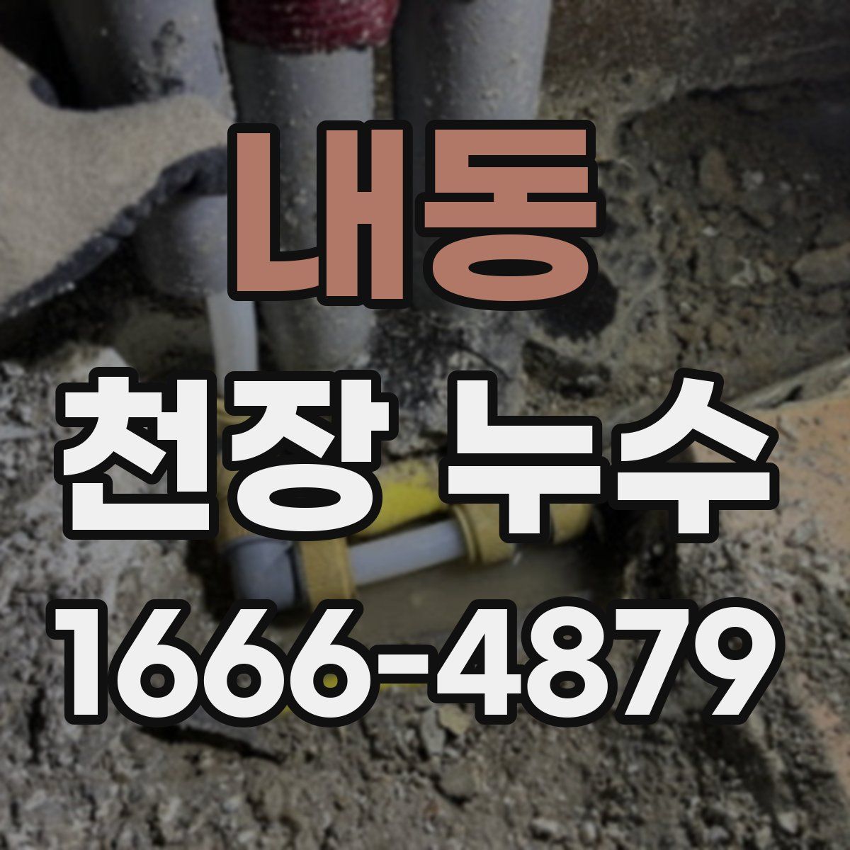 내동 천장 누수