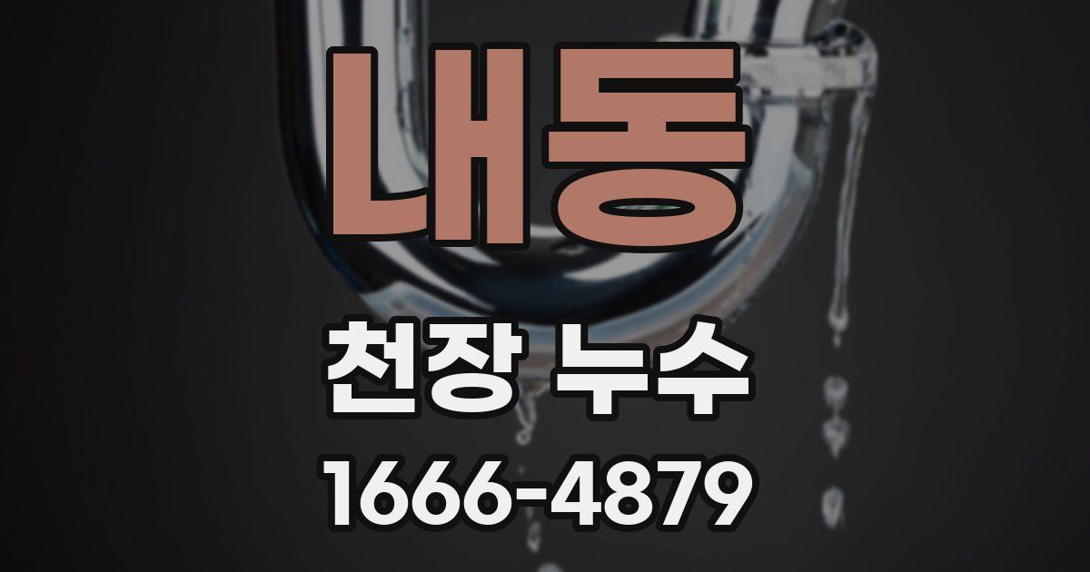 내동 천장 누수
