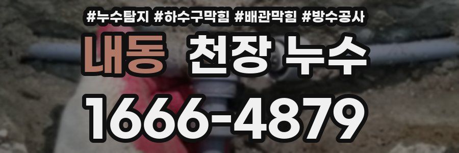 내동 천장 누수