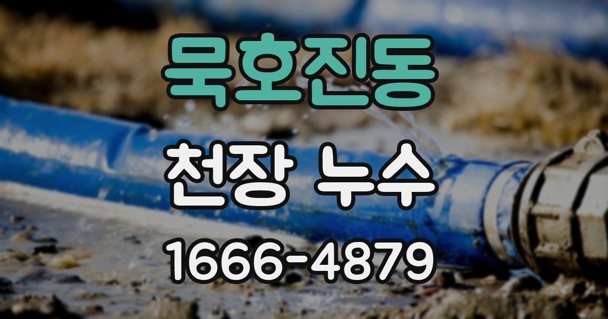 묵호진동 천장 누수