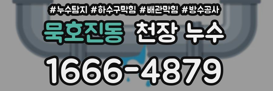 묵호진동 천장 누수