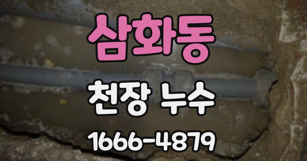 삼화동 천장 누수