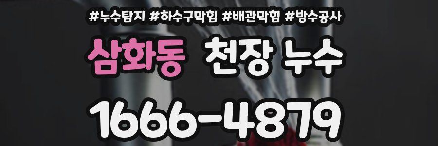 삼화동 천장 누수