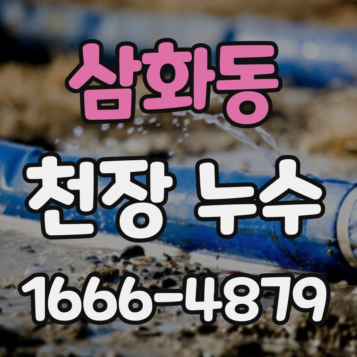 삼화동 천장 누수