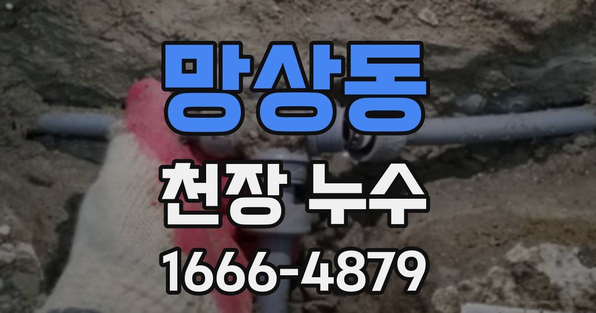 망상동 천장 누수