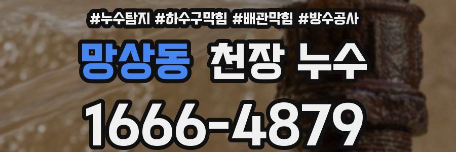 망상동 천장 누수