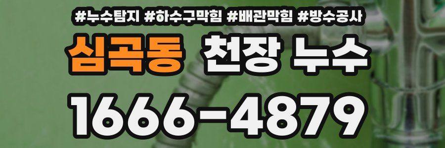 심곡동 천장 누수