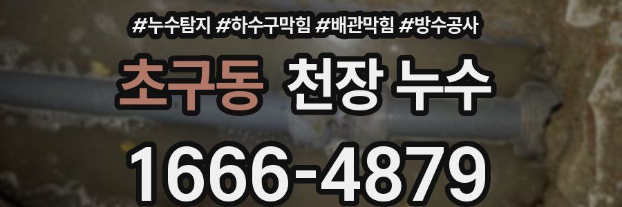 초구동 천장 누수