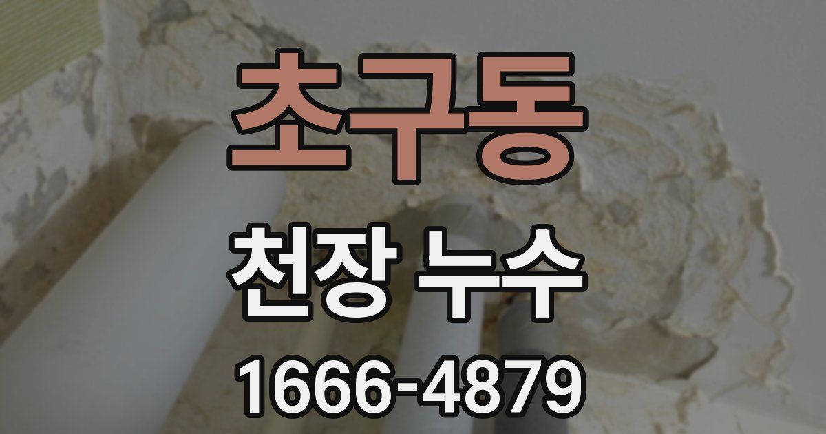 초구동 천장 누수