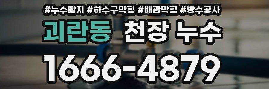 괴란동 천장 누수