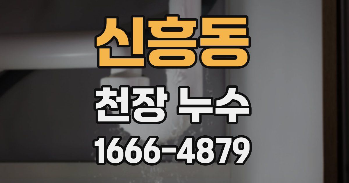 신흥동 천장 누수