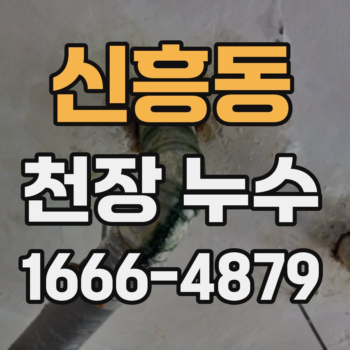 신흥동 천장 누수