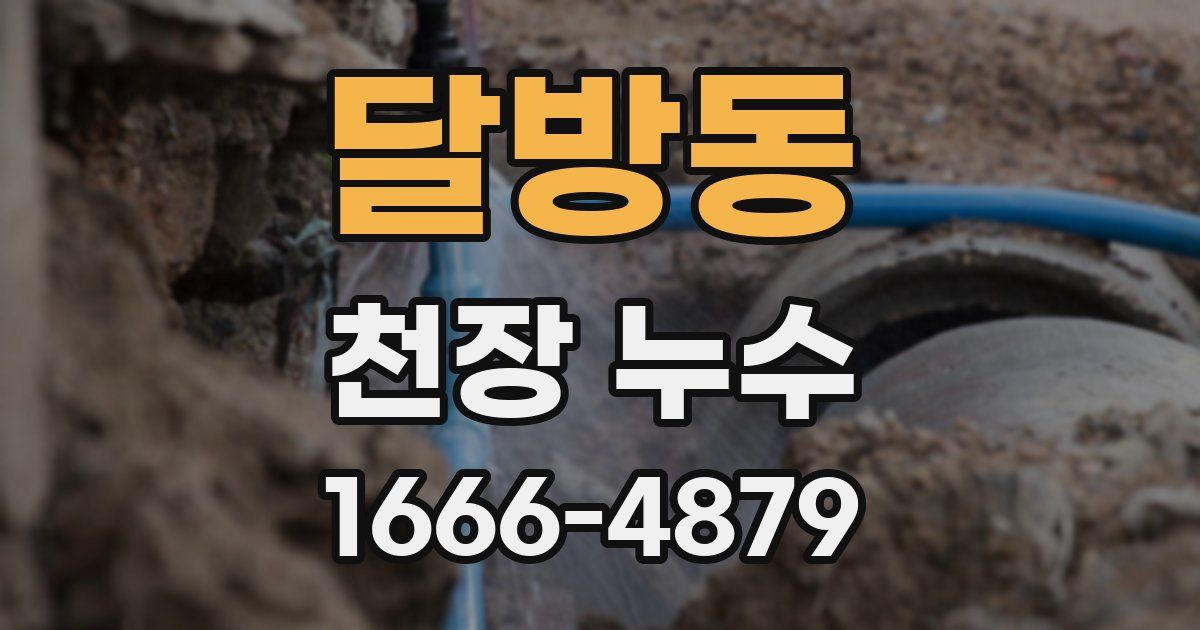 달방동 천장 누수