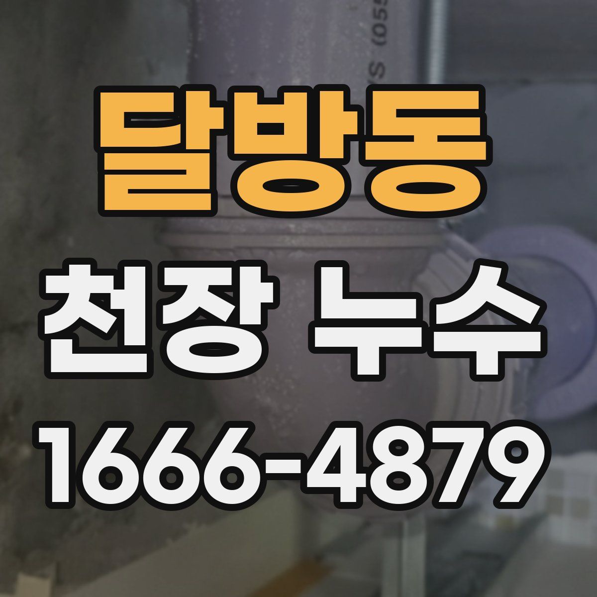 달방동 천장 누수