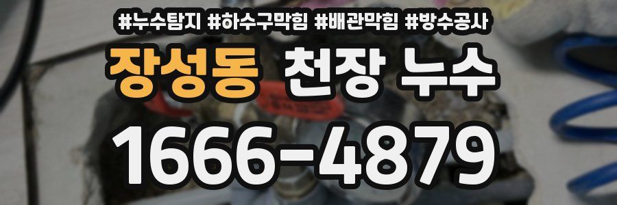 장성동 천장 누수