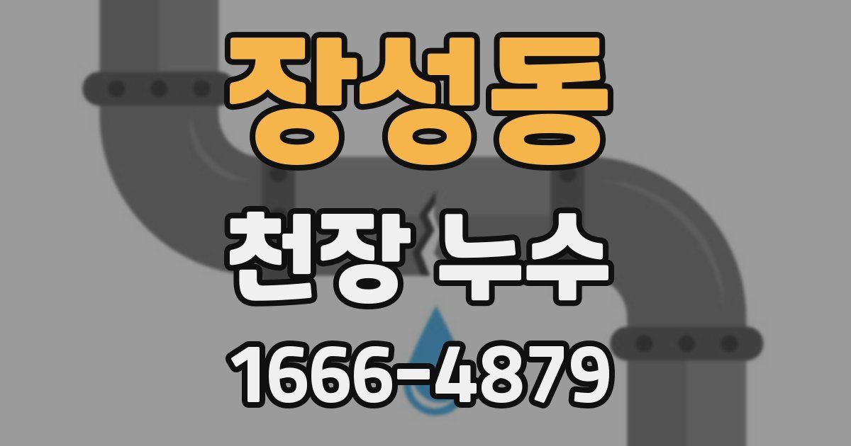 장성동 천장 누수
