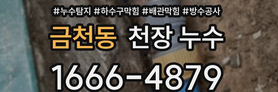 금천동 천장 누수