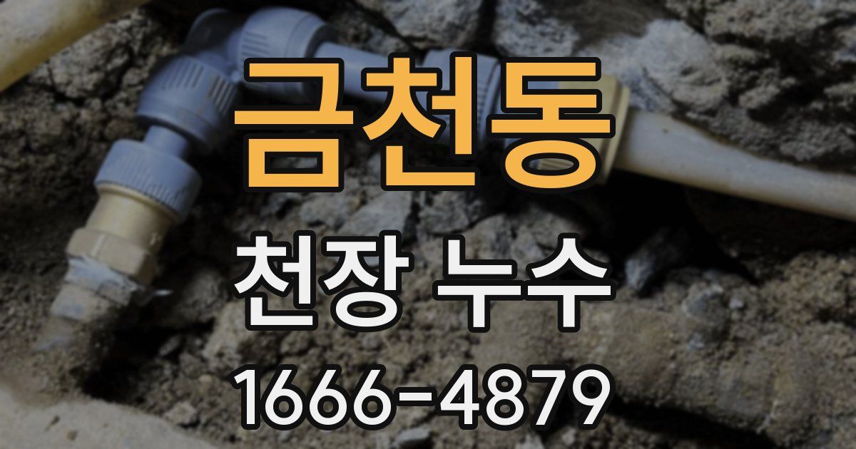 금천동 천장 누수