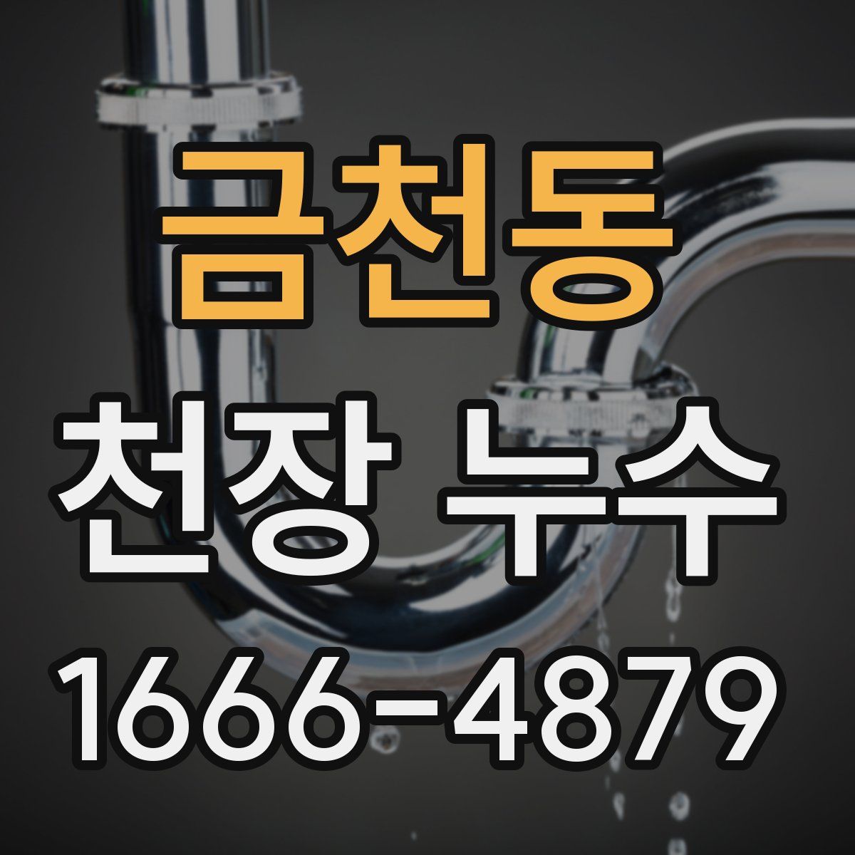금천동 천장 누수