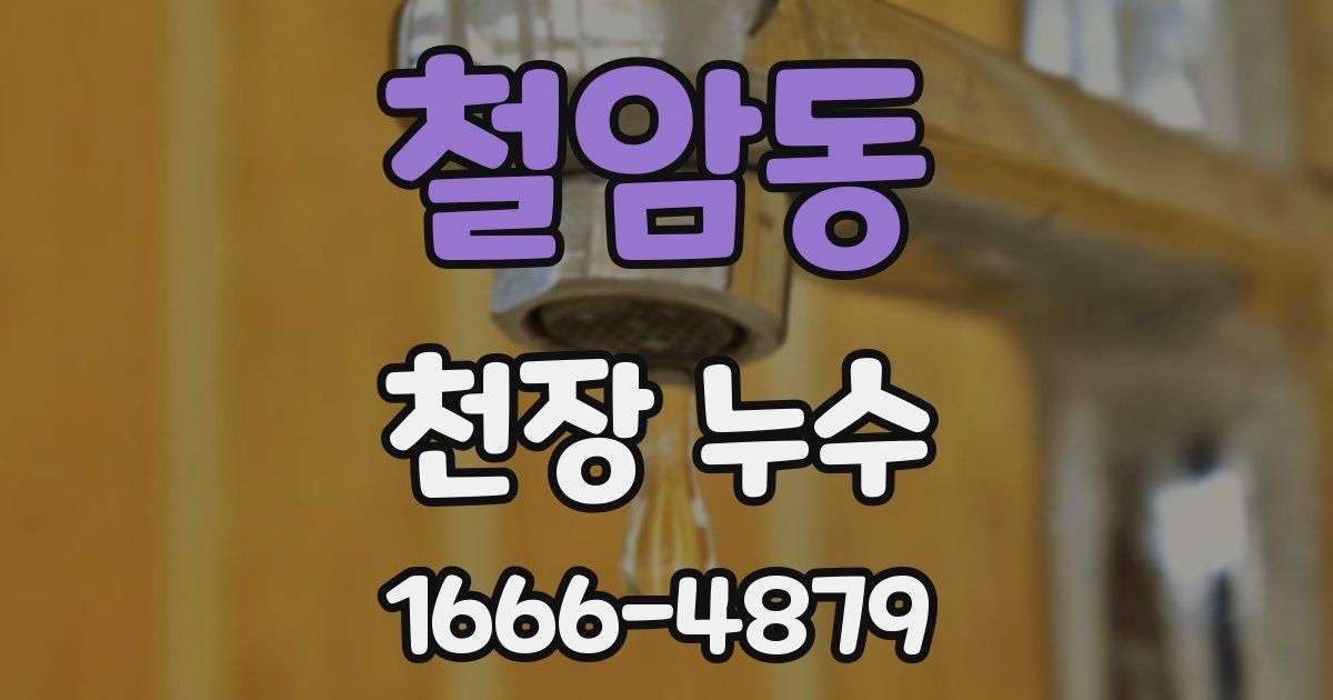 철암동 천장 누수