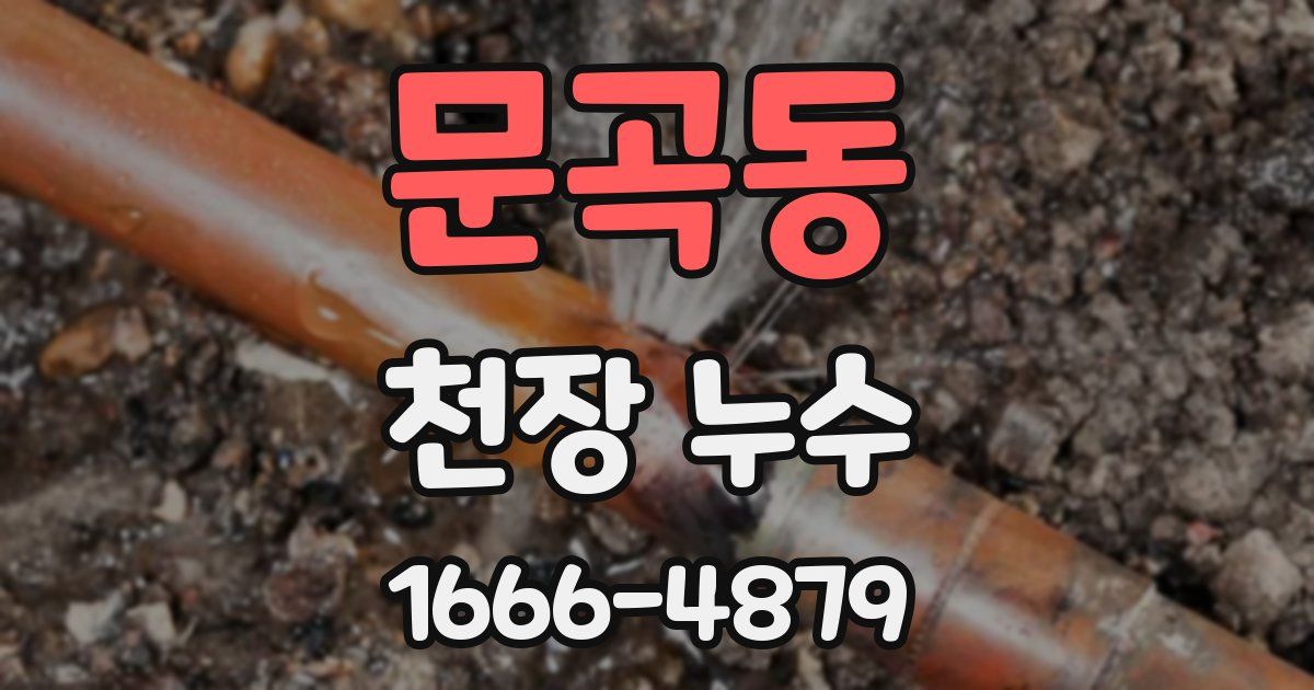문곡동 천장 누수