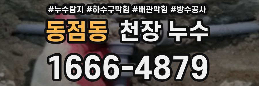 동점동 천장 누수